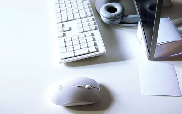 clasificacion de mouse